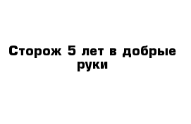 Сторож 5 лет в добрые руки